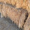 270m/t Oaten Hay in 8x4x3 Bales