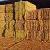 45mt Vetch Hay 730kg 8x4x3 Bales