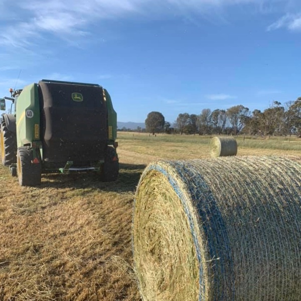 round bale hay 