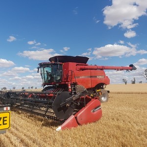 Contract Harvesting Wanted