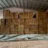 200mt Vetch Hay 700-800kg 8x4x3 Bales
