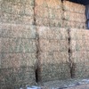 Wheaten Hay 8x4x3 Bales 