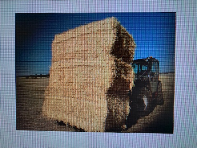 Under Auction - 250 8x4x3 Bales of Wheaten Straw, Header Trailed 480+ Kg's - Sold By The Ton -
