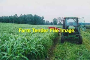 516 x Forage Sorghum Silage 440kg 4x4 Rounds