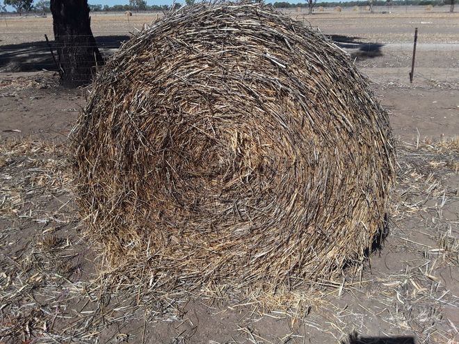 Wheaten Hay 5x4 Round Bales