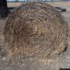 Wheaten Hay 5x4 Round Bales