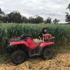 Oaten Hay 5x4 Round Bales