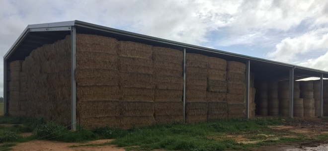 240mt Wheaten Hay 500-550kg 8x4x3 Bales (Beardless)