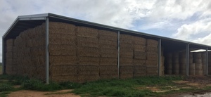240mt Wheaten Hay 500-550kg 8x4x3 Bales (Beardless)