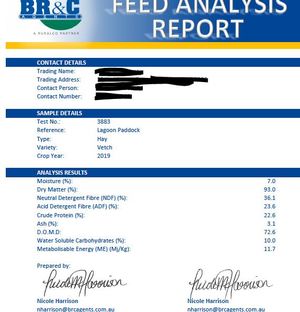 New season hay vetch