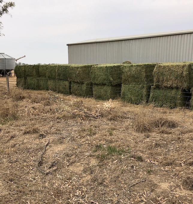 20mt Lucerne Hay 650kg 8x4x3 Bales (2nd Cut)