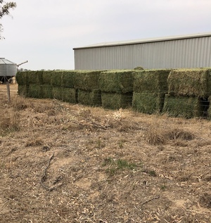 20mt Lucerne Hay 650kg 8x4x3 Bales (2nd Cut)