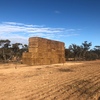 40 Bales Vetch Hay 650kg 8x4x3