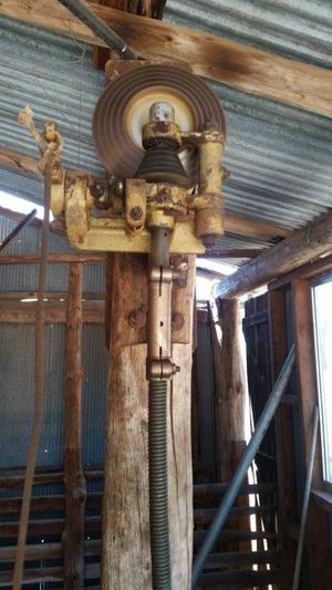 Shearing Plant