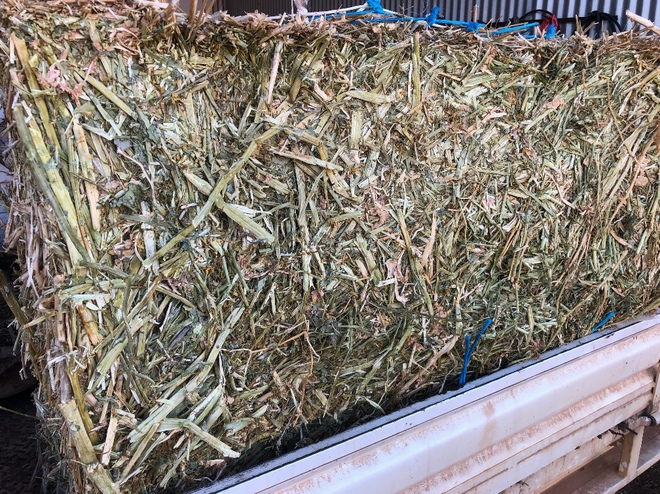 100mt Canola Hay 8x4x3