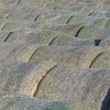 Barley Straw Clearance