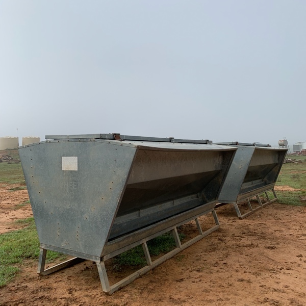 Paton Sheep Lick Feeder