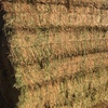 300mt Vetch Hay 650kg 8x4x3 Bales ex Paddock (NEW SEASON)