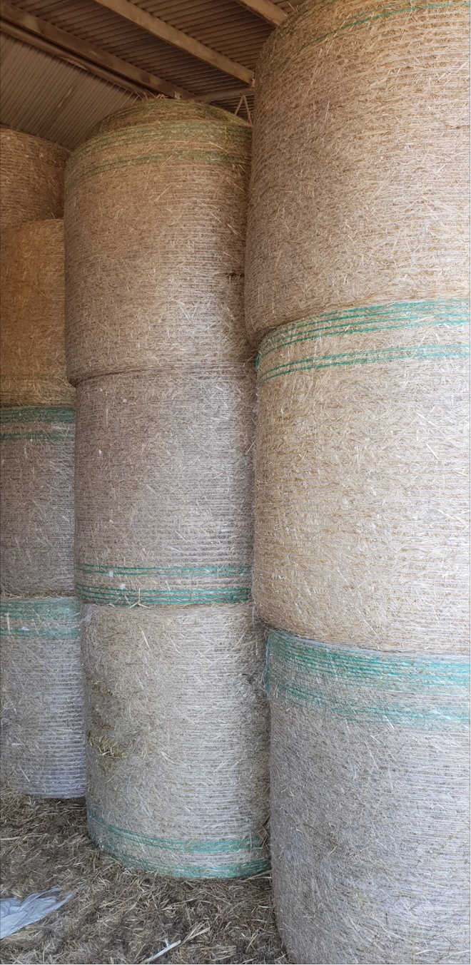 200 x Wheaten Straw 300 KG Approx 5x4 Rolls