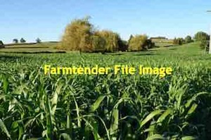 50 Ha of SSS Under Centre Pivot Irrigator for Silage Bales or Silage Chop or Hay 