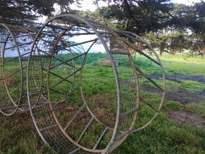 2 x Hay Rings (#1)