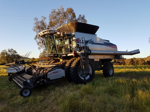 Class 8 capacity Gleaner S77 2012, Steinbauer remap @463hp, DUALS, complete with 16ft Canola pickup and 40ft Flex draper fronts