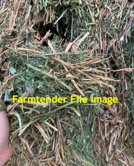 300mt Vetch Hay 600kg 8x4x3 