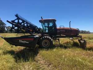 Macdon M155 Windrower with D65 Front