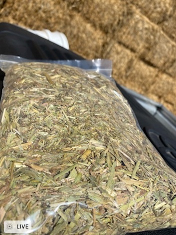 600mt Oaten Hay 500-600kg 8x4x3 Bales (New Season 20/21)