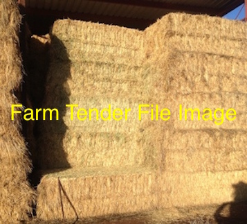 70mt Balansa Clover/Rye Grass Hay 500-550kg 8x4x3 Bales + Freight