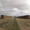 1100mt Barley Straw 500kg 8x4x3 Bales