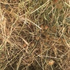 130mt Ryegrass/Clover Hay 500-550kg 8x4x3 Bale