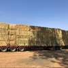 Barley Hay $220 tonne ex SA