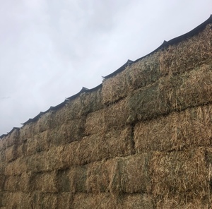 100mt Oaten Hay, 670kg 8x4x3 bales
