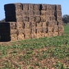 150mt Barley & Ryegrass Hay 580kg 8x4x3 Bales