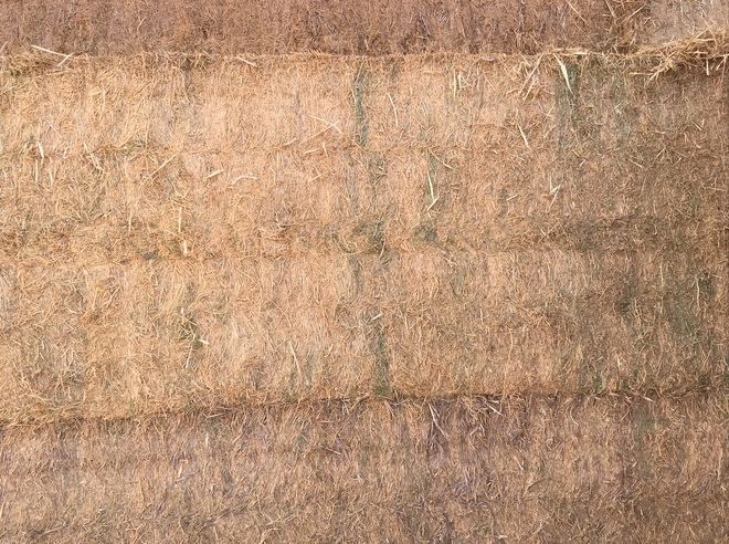 45mt Vetch Hay 650-700kg 8x4x3 Bales (Popany)