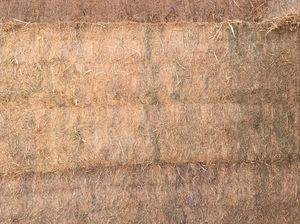 45mt Vetch Hay 650-700kg 8x4x3 Bales (Popany)