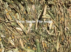 100mt Canola Hay 8x4x3 Bales