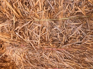 64 bales Oaten Header Trail Straw  8x4x3 Bales  average 515kg