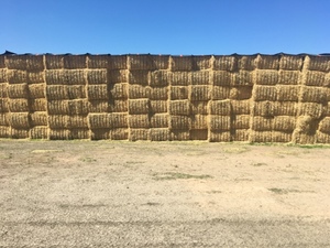 Barley Straw 8x4x3 Bales