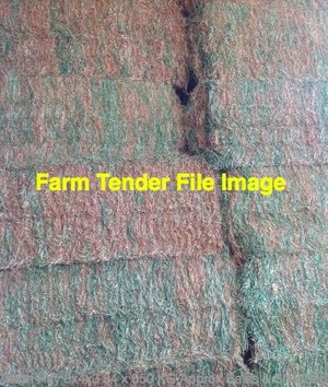 100/MT - 150/MT Good Vetch Hay Wanted