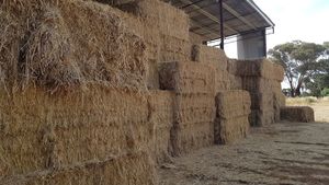 Organic oaten/ryegrass hay.  