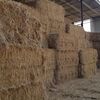Organic oaten/ryegrass hay.