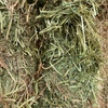 200mt New Season Vetch Hay 8x4x3 Bales