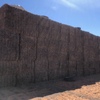 150mt Vetch Hay 600kg 8x4x3 Bales