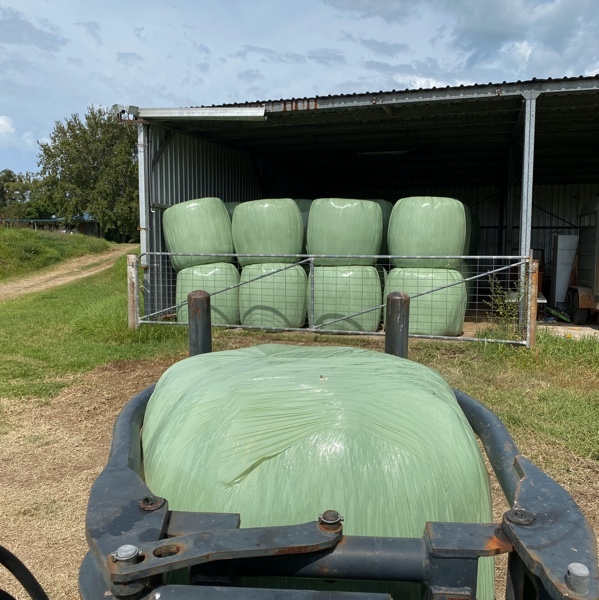 Hay round Bales