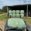 Hay round Bales