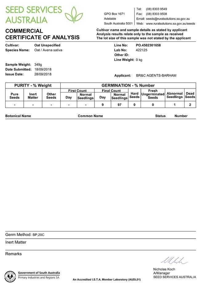 6mt High Quality Hay Oat