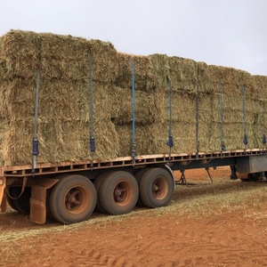 New Season Wheaten Hay