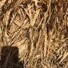Wheat hay.